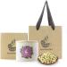 COLORFULTEA - 50g (1.76 oz) - Chinese Health Herbal Tea - Flower Tea - Floral Tea - Scented Tea - Dried Pure Jasmine Flower Bud/Jasmine Flowers Loose Leaf Tea - Fragrant Natural Organic Tea - Buy Online on GoSupps.com