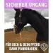Leading Knit with Panic Hooks for Horses Ponies Shetland and Donkeys - 1.60m Stylish Designs in Black-Red-Yellow - Buy Online on GoSupps.com