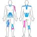 Effekt Kinesiology Tape Waterproof 5m x 5cm - 2 Rolls | Elastic Physio Tape for Muscle Support and Injury Recovery | Medical Sports Tape - Blue/Pink - Buy Online on GoSupps.com