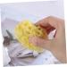 FOMIYES 1pc Sponge for Bathing Bath Sponge Body Sponge Sea Sponge for Bathing Natural Sponge Seaweed Sponge Honeycomb Bath Ball Algae Sponge Greek Natural Seaweed Sponge - Buy Online on GoSupps.com