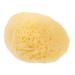 MERRYHAPY Natural Sponge Greece Sponges for Facials Facial Sponges Cleansing Sponges for Face Facial Cleansing Sponge Face Scrubber Face Sponge for Washing Face Facial Supplies Professional