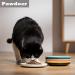 Pawdoer Ceramic Shallow Cat Dish 3 Pack - Whisker Fatigue Free Bowls for Short Legged Munchkin Cats in Blue, Yellow, and Pink - Buy Online on GoSupps.com