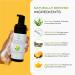 The Natural and Organic Family Clarifying Face Wash with Salicylic Acid - Facial Cleanser for Oily Normal and Combination Skin - Exfoliating Pore Minimizing Formula for Teens and Kids Face Wash Apple - Buy Online on GoSupps.com
