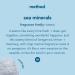 Method Foaming Hand Soap - Sea Minerals, 10 oz (Pack of 6) - Eco-Friendly Cleanser - Buy Online on GoSupps.com