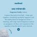 Method Gel Hand Soap Sea Minerals 12 fl oz - Biodegradable Formula (Pack of 3) - Buy Online on GoSupps.com