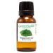 GreenHealth Peppermint Essential Oil 15 ml 100% Pure & Undiluted Strong Menthol Aroma Therapeutic Grade Steam-Distilled for Diffusers Cleaning DIY