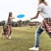 Flying Disc Non-Slip Soft Silicone Toy - 2 Pack (Red & Blue) | Perfect Outdoor Sport for Parent-Child Fun | International Shipping Available - Buy Online on GoSupps.com