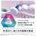 Panasonic EW-DP36 Doltz Bluetooth Electric Toothbrush - 3 Modes 2022 Model Shipped from Japan (Black - Buy Online on GoSupps.com