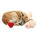 ALL FOR PAWS Puppy Heartbeat Pillow Dog Pillow for Puppies Dog Cushion Sleep Aid Toy Comfort Your Puppies