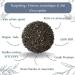 Th Noir Darjeeling SFTGFOP1 Bio en Vrac - Th Vegan 100% Naturel Sans OGM - Agriculture Biologique - Conditionn en France - Sachet 1 kg (500 Tasses) - Buy Online on GoSupps.com