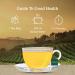 VAHDAM Pure Mint Herbal Tea - 100 Pyramid Tea Bags - Caffeine Free Mint Blend with Peppermint & Spearmint - 100% Natural Ingredients | Mint Tea Bags - Buy Online on GoSupps.com