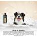 GROOM Professional Argan Oil Dog Shampoo 450ml - Revitalizing Formula for Dry & Itchy Skin Perfect for Damaged Fur - International Shipping Available - Buy Online on GoSupps.com