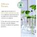 Phytorelax Laboratories Drenant Body Treatment 150 ml - Buy Online on GoSupps.com