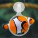 POPETPOP Aquarium Magnifier Acrylic Fish Tank Viewer Fish Tank Magnifying Glass Small Animal Magnifier with Suction 3.5cm - Buy Online on GoSupps.com