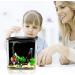 FREESEA 1.2 Gallon Betta Fish Tank with LED Light & Filter Pump â€“ Black Aquarium - Buy Online on GoSupps.com