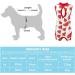 Lxwsin Cat Recovery Suit - Breathable Cotton Anti-Licking Pet Protection Clothing for Cats | Ideal for Abdominal Wounds & Weaning (M L) - Buy Online on GoSupps.com