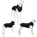 Kickred Dog Hoodies Dog Coat with Hat & Pocket & Leash Hole Soft and Breathable Dog Sweater for Large Dogs Winter Dog Clothes Without Sleeves (XL Black) XL Black - Buy Online on GoSupps.com