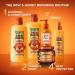 Garnier Whole Blends Honey Treasures Repairing Shampoo and Conditioner Duo Set for Damaged and Dry Hair Repairs Split Ends and Breakage more Moisture Paraben-Free Bundle 2x 1180ml Bundle 1180mlx2 - Buy Online on GoSupps.com