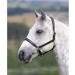 Shires Ragley Lined Leather Headcollar: Havana: Cob Havana Cob - Buy Online on GoSupps.com