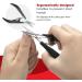 Seki Edge SS-205 Stainless Steel Nail Scissors - Precision Grooming Tool - Buy Online on GoSupps.com