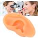Silicone Ear Display Mould - Lifelike Educational Model for Hospital (Right Ear) - Buy Online on GoSupps.com