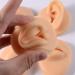 Silicone Acupuncture Model - 1:1 Human Navel Nose Nipple Display Tool | Clear Left Ear | Flexible Teaching Aid - Buy Online on GoSupps.com