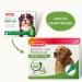 Beaphar Tick & Flea Spot-On for Dogs Over 15kg | 3x2ml Pipets | Protects Against Fleas Ticks & Mosquitoes - 12 Weeks of Immediate Defense - Buy Online on GoSupps.com