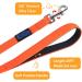 Vivifying 6m Waterproof Towline for Dogs - Padded Handle for Recall Training Hiking Swimming Beach & Lake - Orange - Buy Online on GoSupps.com