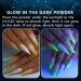 12 Colors Glow in The Dark Powder - Luminous Neon Pigment for Nail Art & Resin Craft - Buy Online on GoSupps.com