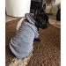 Ducomi 100% Cotton Hooded Dog Sweatshirt - Warm Monochrome Sweater for All Breeds - XS to 9XL Sizes - Gray (M) - Buy Online on GoSupps.com