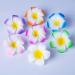 16 Pcs Plumeria Hair Clips - Multicolor Hawaiian Floral Barrettes for Women - Tropical Luau Festival Headpiece - Buy Online on GoSupps.com