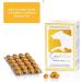 Canimove Immune Maxi - EPA70 + Tragant + Enovita OPC for Dogs | 100 Capsules - Immune Support Supplement - Buy Online on GoSupps.com