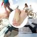 Uxsiya Toe Protector - Hallux Valgus Bunion Corrector for Pain Relief & Straightening - Buy Online on GoSupps.com