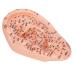 Human Ear Acupuncture Model with Acupuncture Points - Best Ear Massage Therapy Tool for Pain Relief & Wellness - Buy Online on GoSupps.com
