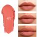 Erinde Erinde Matte Lipstick Pencil lip contour pencil with a creamy velvet texture long-lasting and smudge-proof doesn't dry out lips ideal for on-the-go #02 - Buy Online on GoSupps.com