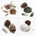 180pcs Natural Feathers Assorted for Dream Catcher Crafts - 6 Styles/180 Pcs - Buy Online on GoSupps.com