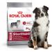 Royal Canin Dog Food Medium Sterilised 3kg - Buy Online on GoSupps.com