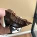Julian Bakery Pegan Thin Protein Bar - Chocolate Lava (12 Bars, 2.29 oz Each) | Low Carb, High Protein Snack - Buy Online on GoSupps.com