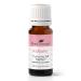 Plant Therapy KidSafe Tummy All Better Essential Oil Blend 10 mL (1/3 oz) 100% Pure Undiluted Therapeutic Grade