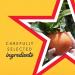 Sanpellegrino Limonata 6 x 330ml - Refreshing Italian Sparkling Lemon Beverage - Buy Online on GoSupps.com