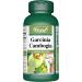 VORST Garcinia Cambogia 60 Capsules and Apple Cider Vinegar 90 Capsules | Combo Bundle 2 x 2 Bottles - Buy Online on GoSupps.com