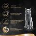Shop Sheba Sauce Sp ciale Katznass Wet Cat Food - 22 Bowls of Turkey & Vegetables Fricassee - Premium Adult Cat Nutrition - International Shipping Available - Buy Online on GoSupps.com