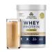 Ancient Nutrition Grass Fed Whey Protein + Fat Loss Blend Vanilla Cinnamon 23g Protein Promotes Fat Loss and Boost Metabolism Organic Regenerative A2/A2 Milk Protein 18 Servings