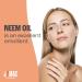 J MAC BOTANICALS Organic Neem Oil for Skin (8 oz Glass Bottle NO Dropper) 100% Organic Undiluted Cold Pressed Neem Oil 8 Fl Oz (Pack of 1) - Buy Online on GoSupps.com