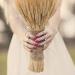 Natural Wheat Decoration Rabbit Tail Grass Wedding Dried Typha Phragmites Dried Flower Real Dry Color Bouquet Flowers White - Buy Online on GoSupps.com