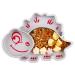 Silicone Baby Plates Divided - Portable Non Slip Suction Toddler Plates for Children Babies and Kids BPA Free Baby Dinner Plate  Dishwasher and Microwave Safe