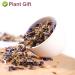 Premium Organic Pueraria Lobata Flower Tea - 100% Loose Dried Herbal Tea for Skin Care & Health - 50g / 1.7oz - Buy Online on GoSupps.com