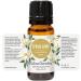 Edens Garden Spring Shine Essential Oil Synergy Blend - Limited Edition | 10ml | 100% Pure Therapeutic Grade - Buy Online on GoSupps.com