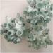Natural Green Ghost Crystal Cluster Original Stone Reiki Crystals Minerals Specimen Home Decor Full of Texture (Size : 250-350g) - Buy Online on GoSupps.com