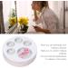 Empty Eyeshadow Plate 5 Grids DIY Refillable Eyeshadow Storage Box for Blush Brow Powder - Buy Online on GoSupps.com